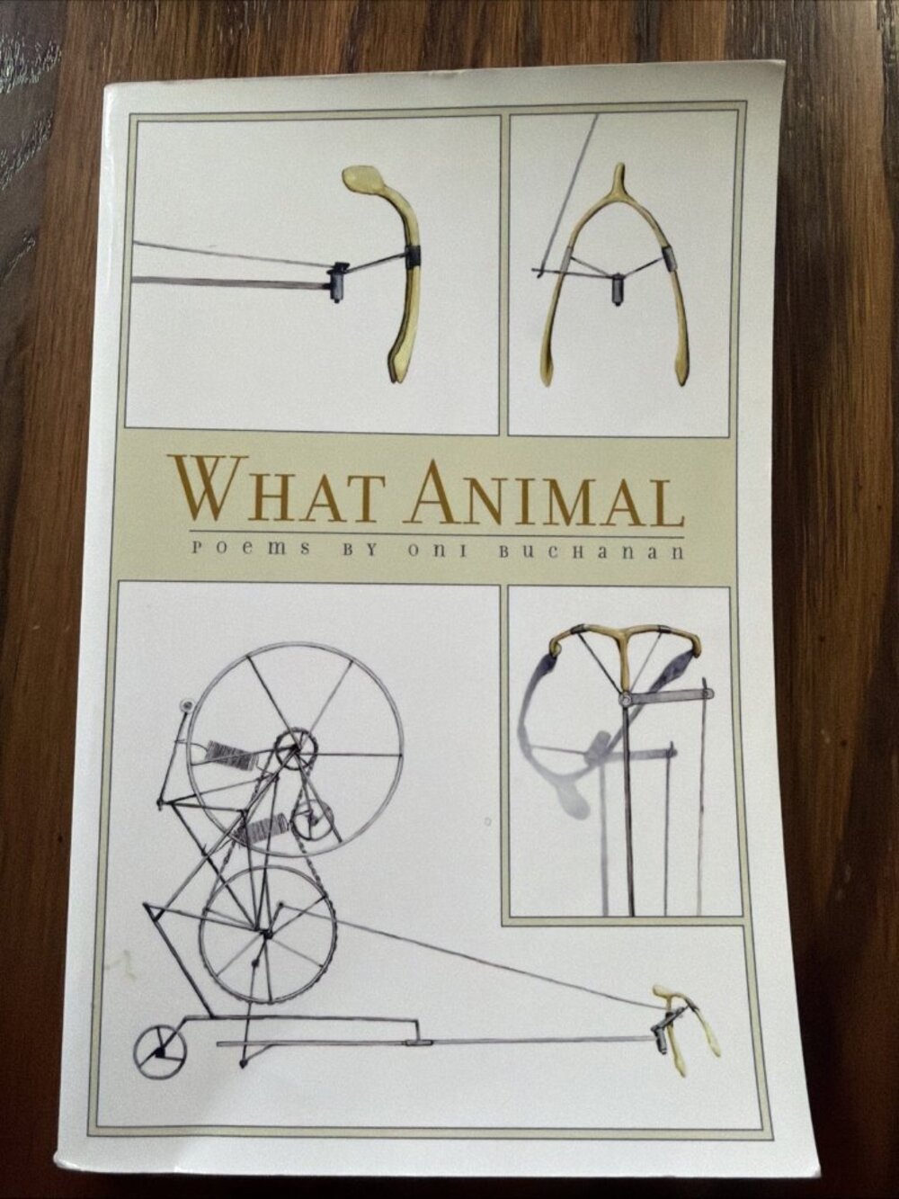 What Animal: Poems (The Contemporary Poetry) Oni Buchanan